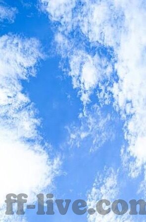 美洲足球俱乐部比分-美洲足球风云，比分背后的激情与荣耀