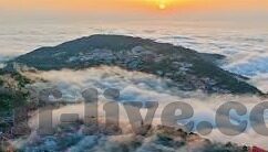 实况足球比分网-探秘实况足球比分网，球迷的实时数据乐园与战术分析宝库