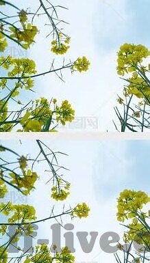 休斯敦足球比分-休斯敦足球比分，绿茵场上的风云变幻与城市荣耀