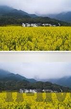 约旦对阿曼足球比分-绿茵烽火，约旦VS阿曼，比分背后的战术博弈与激情碰撞